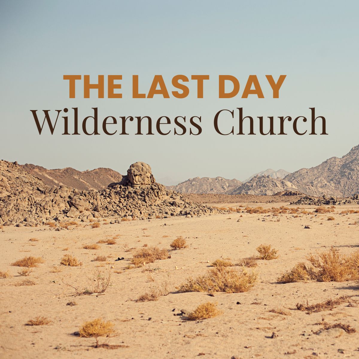 The Last Day Wilderness Church